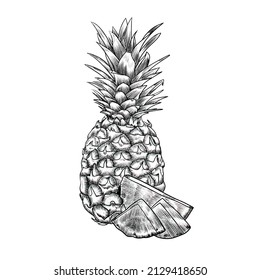 Illustration of pineapple fruit on white background