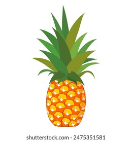 illustration of pineapple fruit. pineapple fruit vector in flat style. fresh summer fruit.