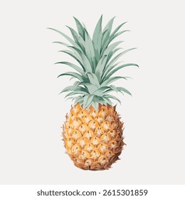 Illustration of a pineapple with green leaves and textured yellow skin. Pineapple art with detailed leaves. Yellow pineapple with vibrant green leaves. Vintage fruit illustration vector.