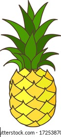Illustration of pineapple, hand drawn, simple