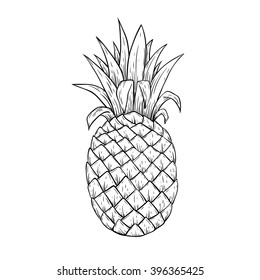 Illustration of Pineapple With Line Art or Sketchy Style