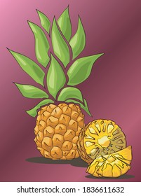 Illustration of pineapple. 
Pieces of pineapple