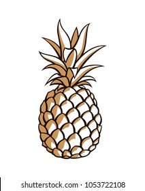 illustration of pineapple tropical fruit