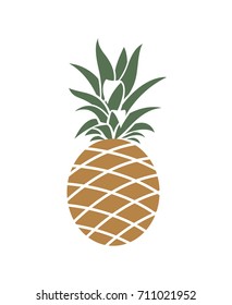 ilustración de fruto tropical de piña