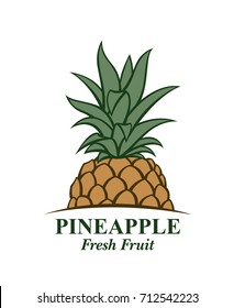 illustration of pineapple tropical fruit
