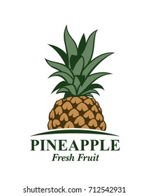illustration of pineapple tropical fruit