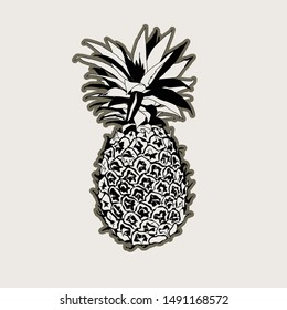 illustration with pineapple, vector design