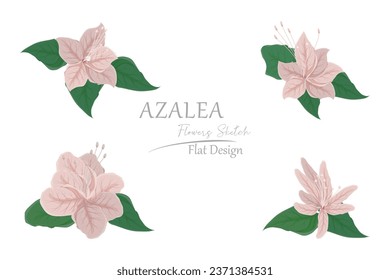  illustration of pink azalea flowers. simple flat design