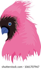 Illustration of a pink bird