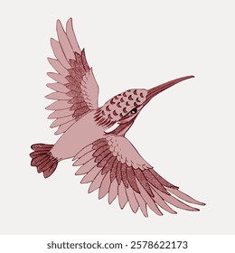 Illustration of a pink bird with long wings and a pointed beak. The bird is in flight, showcasing detailed feathers and a graceful pose. Vintage bird illustration vector.