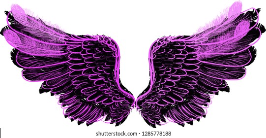 illustration with pink and black wings isolated on white background