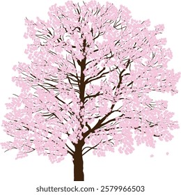 illustration with pink blossoming tree isolated on white background