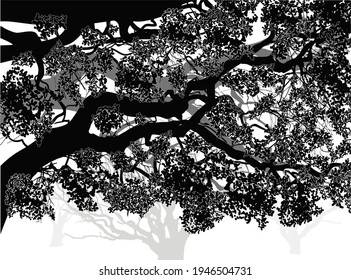illustration with pink blossoming tree on white background