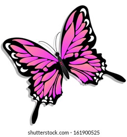 Illustration of a pink butterfly on a white background 