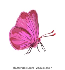 illustration of a pink butterfly without background