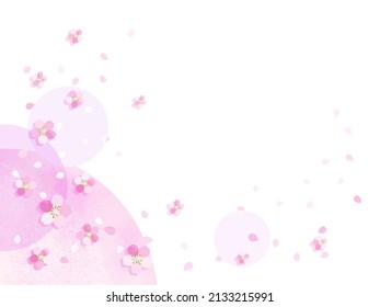 Illustration of pink cherry blossoms on white background