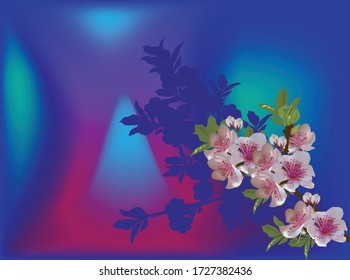 illustration with pink cherry tree blossom on blue background