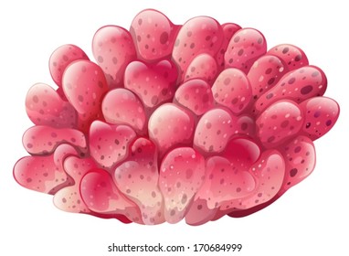 Illustration of a pink coral reef on a white background