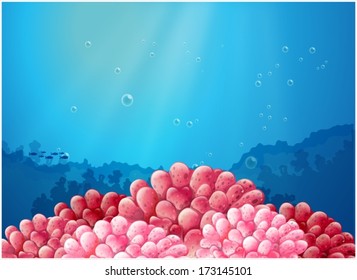 Illustration of the pink corals under the sea on a white background