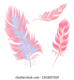 Illustration with pink feathers. Decoration item for postcard, banner, poster, template, certificate.