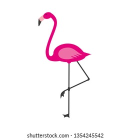 Illustration of pink flamingo. Isolated flamingo. 