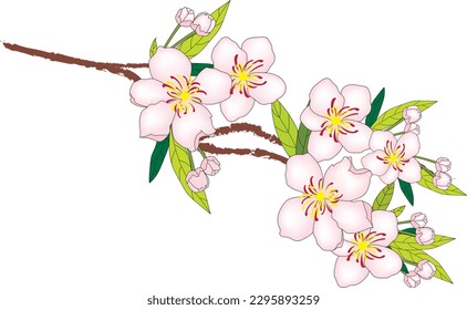 Illustration of pink flower with leaf on empty background.