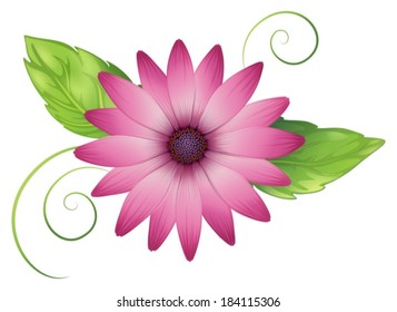 Illustration of a pink flower with leaves on a white background