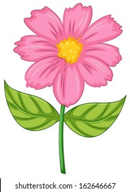 Illustration of a pink flower on a white background