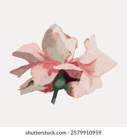 Illustration of a pink flower with soft petals. The flower is depicted in a watercolor style, highlighting its delicate pink petals and green stem. Vintage flower illustration isolated, vector.