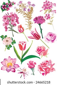 illustration with pink flowers collection