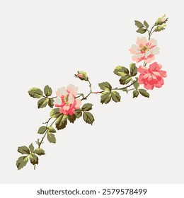 Illustration of pink flowers with green leaves on a branch. Floral design with delicate pink flowers. Green leaves complement the pink flowers beautifully. Vintage flower illustration, vector.