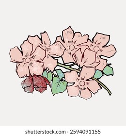 Illustration of pink flowers with green leaves. The flowers are pink, with detailed petals. Green leaves complement the pink flowers, creating a soft, floral design. Vintage botanical vector.