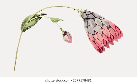 Illustration of a pink and gray flower with green leaves. The flower features pink petals and gray accents. Green leaves complement the pink and gray flower. Vintage flower illustration, vector.