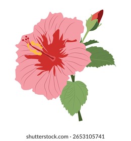 Ilustração de uma flor de hibisco rosa com um botão vermelho, isolado no fundo branco, perfeito para desenhos botânicos.