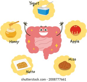 Illustration of a pink large intestine. Healthy foods such as natto and yogurt.