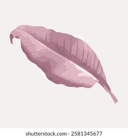 Illustration of a pink leaf with detailed texture. Pink leaf design on a light background. Artistic pink leaf with soft, subtle shades and textures. Vintage botanical leaf illustration vector.