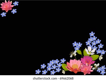 illustration with pink lily and blue flowers on black