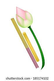 An Illustration of A Pink Lotus Flower or Water Lily with Candle and Incense Sticks Isolated on White Background. 