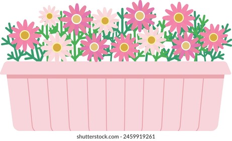 Illustration of pink marguerite in a planter