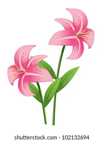 Illustration of a pink orchid