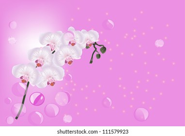 illustration with pink orchid decoration