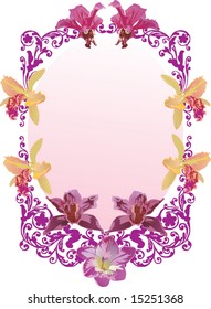illustration with pink orchid frame on white background