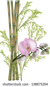 illustration with pink orchids and green bamboo