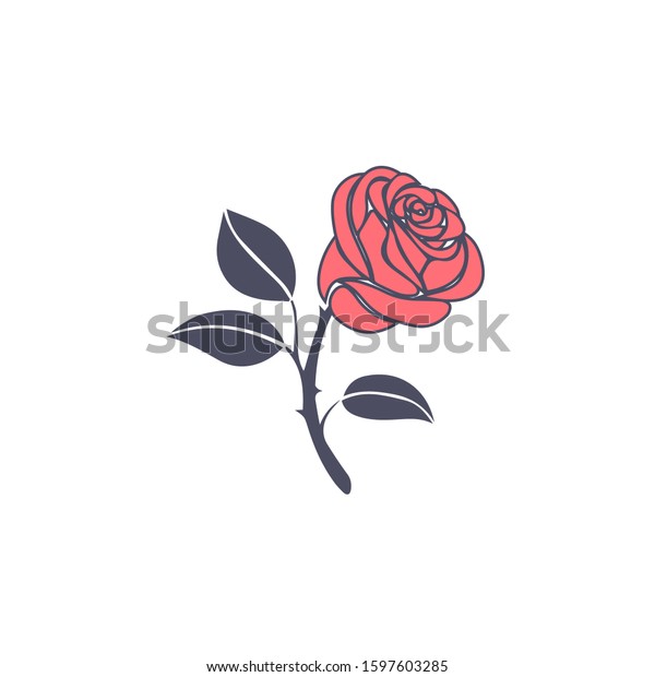 Illustration Pink Rose Stock Vector Royalty Free 1597603285 Shutterstock 8323