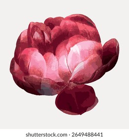 Illustration of a pink rose. Pink rose with detailed petals. Rose illustration showcasing pink hues. Elegant pink rose art with a focus on petals and color. Vintage flower illustration vector.