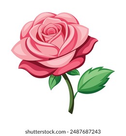 Illustration of Pink rose Isolated on white