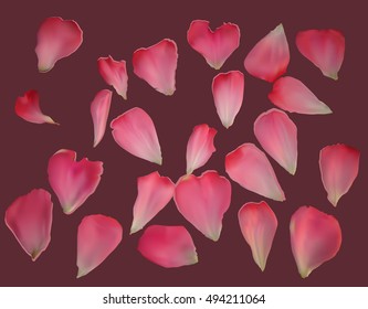 illustration with pink rose petals on dark background
