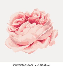 Illustration of a pink rose with soft petals. The pink rose is detailed, showing delicate petals. This pink rose artwork is elegant and beautifully crafted. Vintage rose illustration vector.