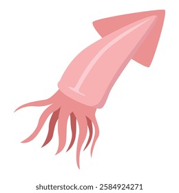 Illustration of a Pink Squid