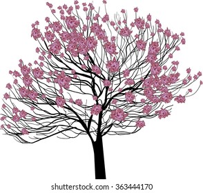 illustration with pink tree blossom isolated on white background